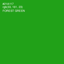 #21A117 - Forest Green Color Image