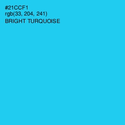 #21CCF1 - Bright Turquoise Color Image
