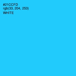 #21CCFD - Bright Turquoise Color Image