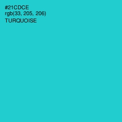 #21CDCE - Turquoise Color Image