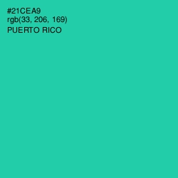 #21CEA9 - Puerto Rico Color Image