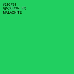 #21CF61 - Malachite Color Image
