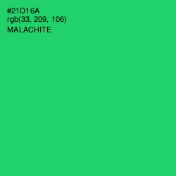 #21D16A - Malachite Color Image