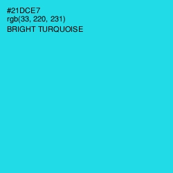 #21DCE7 - Bright Turquoise Color Image