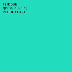 #21DDBE - Puerto Rico Color Image