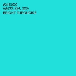 #21E0DC - Bright Turquoise Color Image