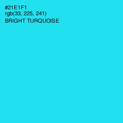 #21E1F1 - Bright Turquoise Color Image