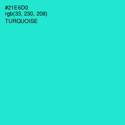 #21E6D0 - Turquoise Color Image