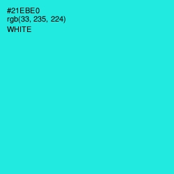 #21EBE0 - Bright Turquoise Color Image