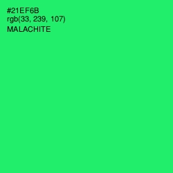#21EF6B - Malachite Color Image