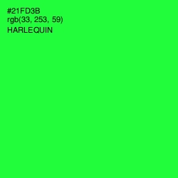 #21FD3B - Harlequin Color Image