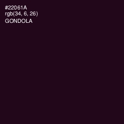#22061A - Gondola Color Image
