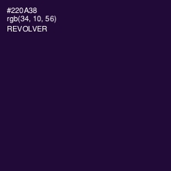 #220A38 - Revolver Color Image