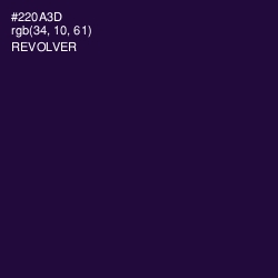 #220A3D - Revolver Color Image