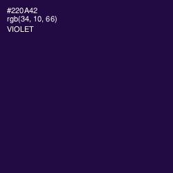 #220A42 - Violet Color Image