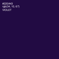 #220A43 - Violet Color Image