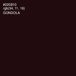 #220B10 - Gondola Color Image