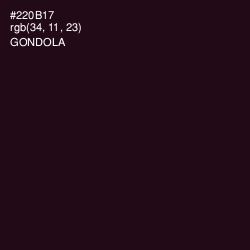 #220B17 - Gondola Color Image