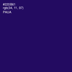 #220B61 - Paua Color Image