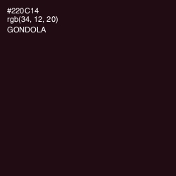 #220C14 - Gondola Color Image