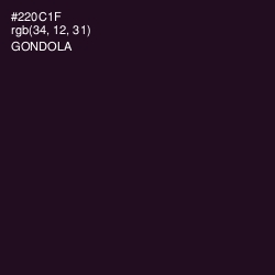 #220C1F - Gondola Color Image