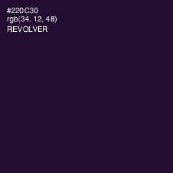 #220C30 - Revolver Color Image