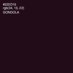 #220D16 - Gondola Color Image