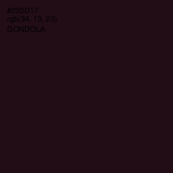 #220D17 - Gondola Color Image