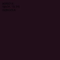 #220D1A - Gondola Color Image