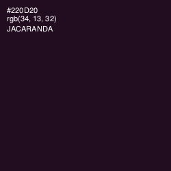 #220D20 - Jacaranda Color Image