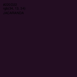 #220D22 - Jacaranda Color Image