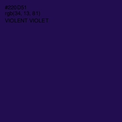 #220D51 - Violent Violet Color Image