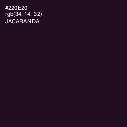#220E20 - Jacaranda Color Image