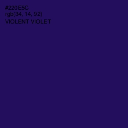 #220E5C - Violent Violet Color Image