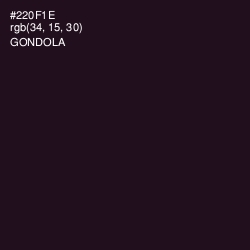 #220F1E - Gondola Color Image