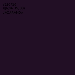 #220F26 - Jacaranda Color Image