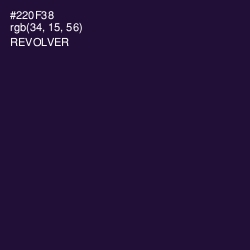 #220F38 - Revolver Color Image