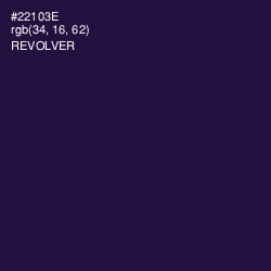 #22103E - Revolver Color Image