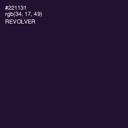 #221131 - Revolver Color Image