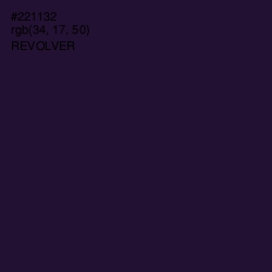 #221132 - Revolver Color Image