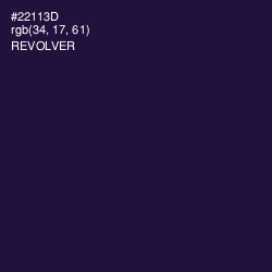 #22113D - Revolver Color Image