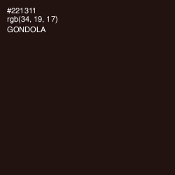 #221311 - Gondola Color Image