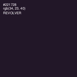 #221728 - Revolver Color Image