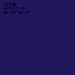 #22175D - Violent Violet Color Image