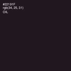 #22191F - Oil Color Image