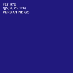 #22197E - Persian Indigo Color Image