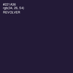 #221A36 - Revolver Color Image