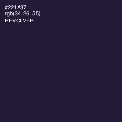 #221A37 - Revolver Color Image