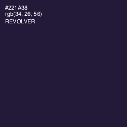 #221A38 - Revolver Color Image