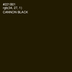 #221B01 - Cannon Black Color Image